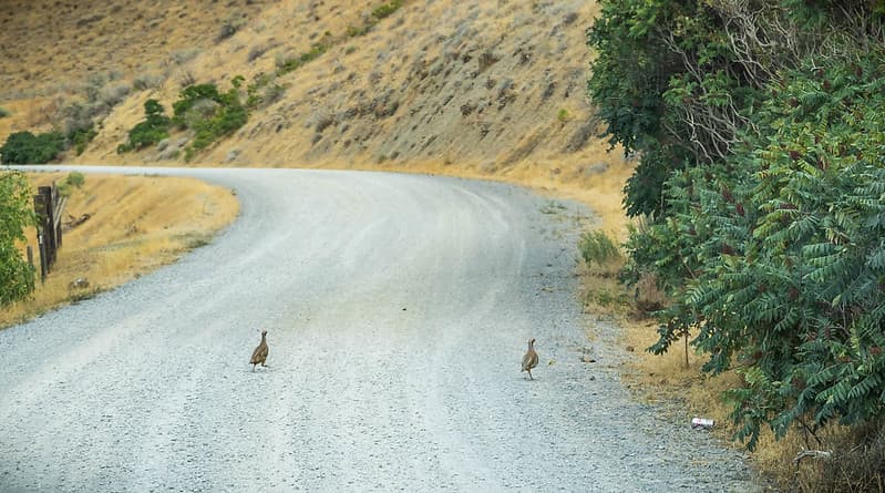 Snake River-Mormon Basin byway offers scenic Baker County loop drive