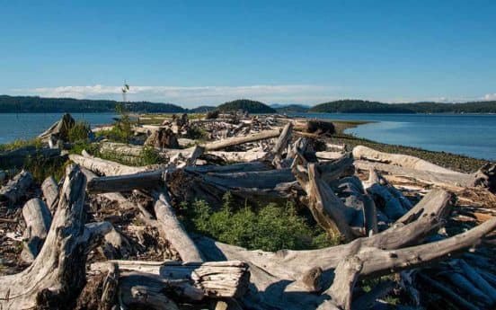 Island County parks offer free access across Whidbey and Camano islands