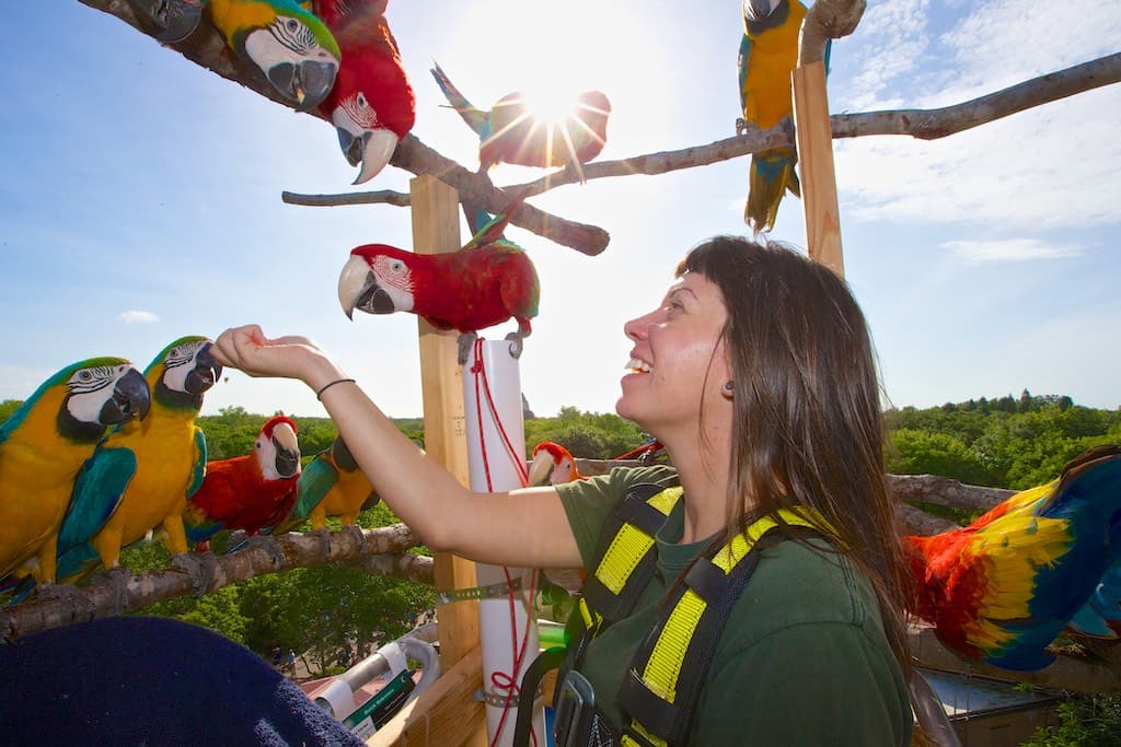 Natural Encounters offers live online parrot behavior and training course