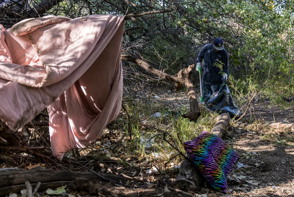 Bernalillo County clears bosque debris to reduce wildfire risk