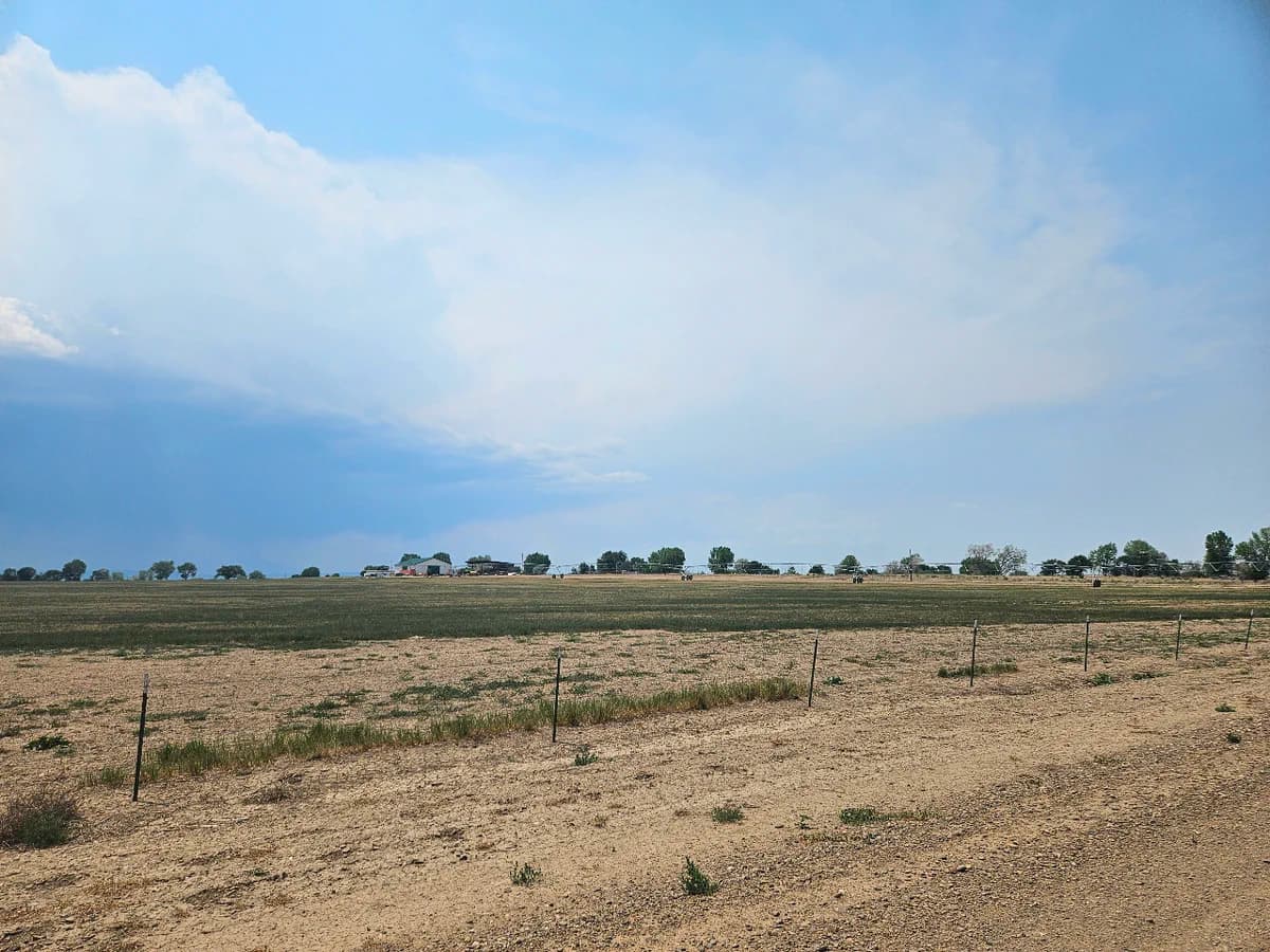 Las Animas County photo shows worsening drought, hay output cut in half