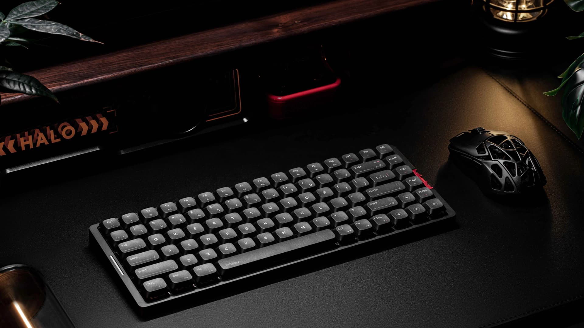 IQUNIX MQ80 review highlights premium low-profile typing feel