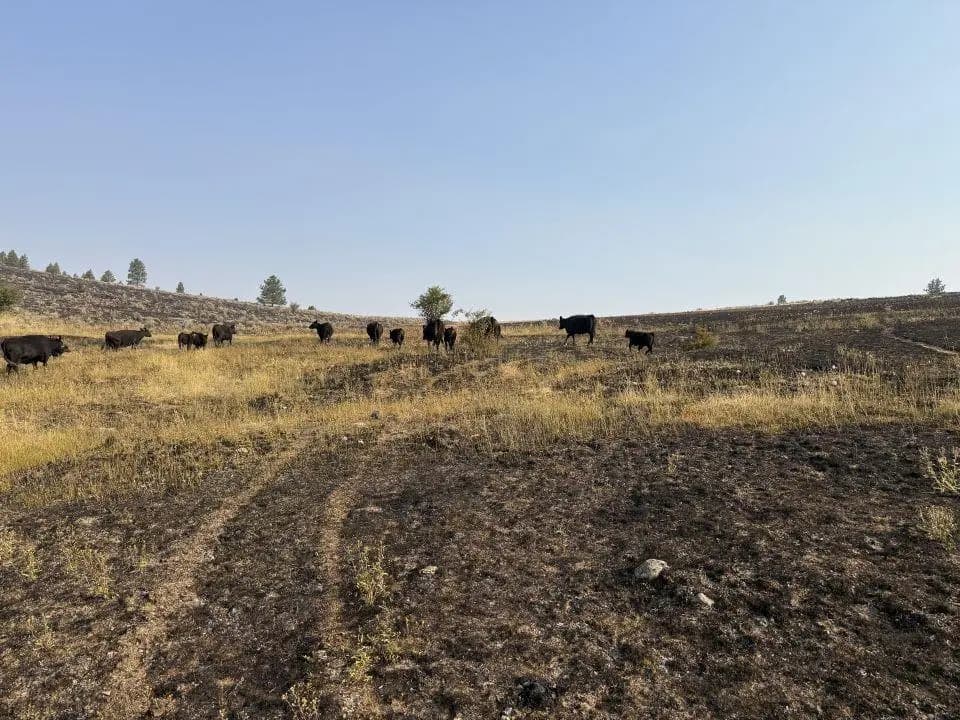 Crews work around the clock on Powder River Fire in Baker County