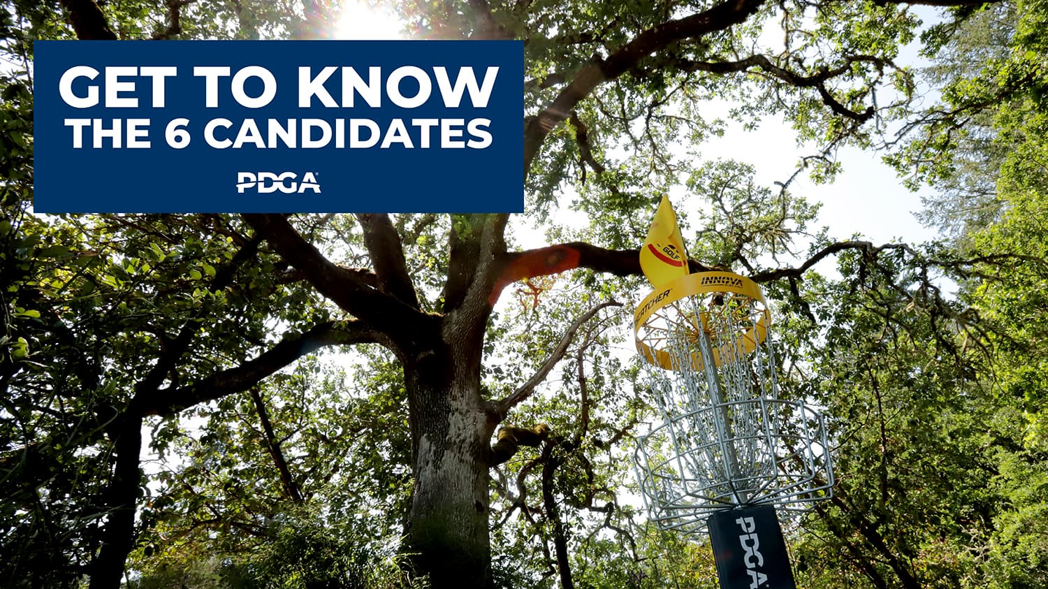 PDGA introduces six candidates for Global Board election