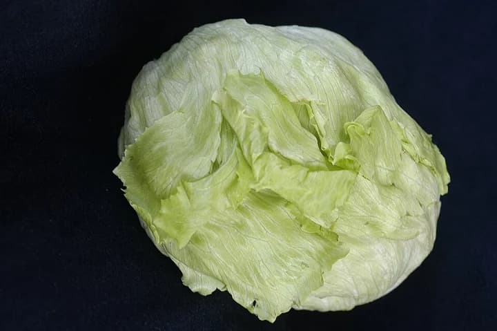 Humboldt reports no cyclospora cases amid multistate outbreak