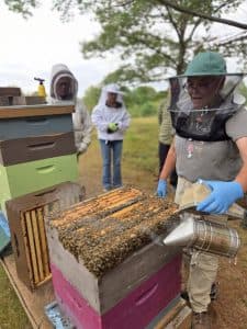Sagadahoc beekeepers group offers hands-on learning in Topsham