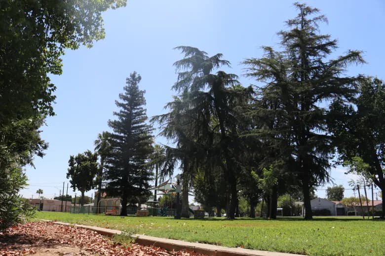Southwest Fresno neighbors' wellness gatherings hit city hall complications