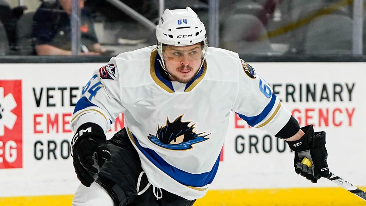 AHL summer market keeps moving as NHL free agency ripples continue