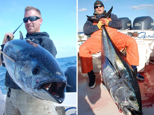 New Jersey bluefin tuna offer a long season of opportunity