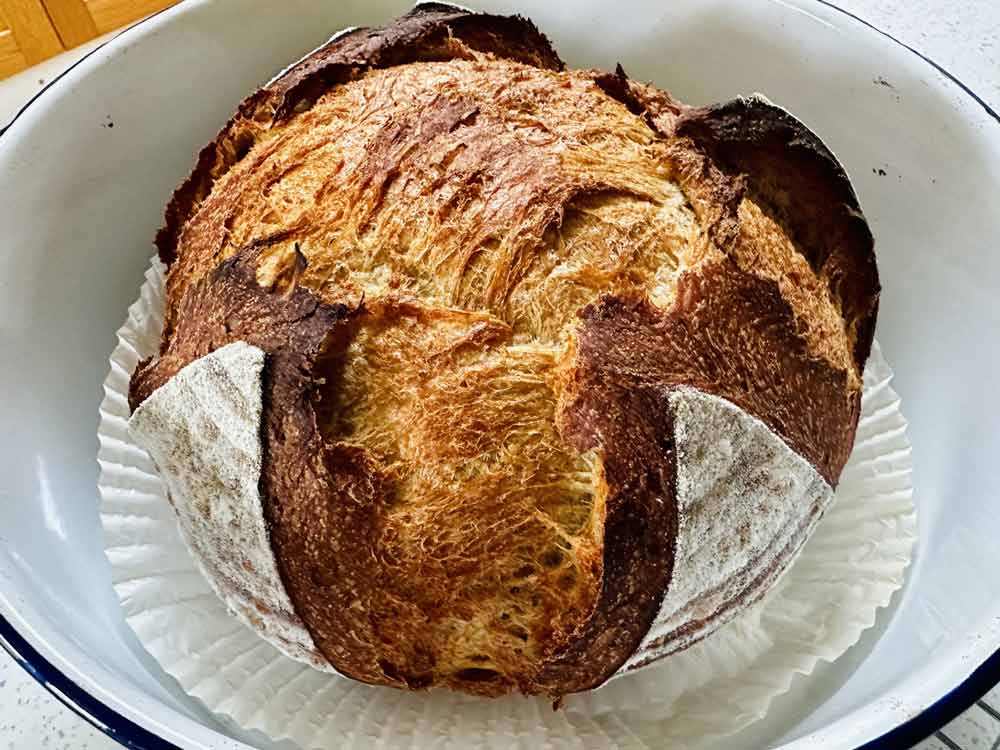 Elaine’s summer sourdough tips for preventing overproving