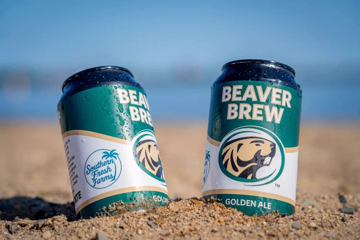 Bemidji State launches Beaver Brew to support Beaver Athletics