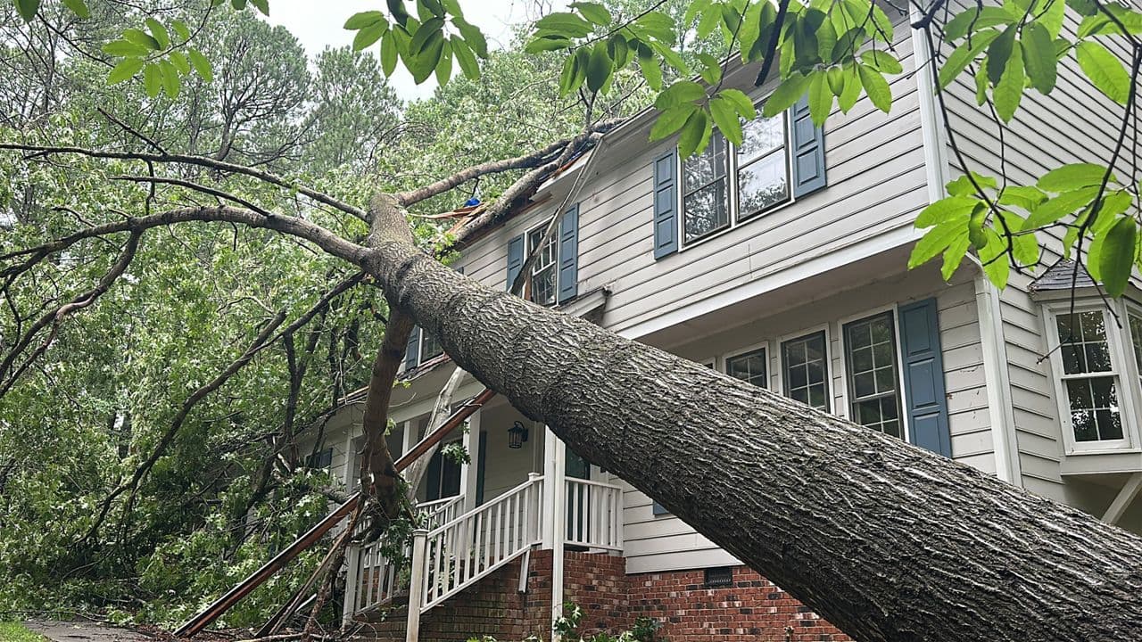 Storms bring tree damage, outages across Wake County