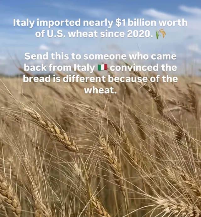 Italy’s pasta chain runs on imported wheat from the US and Canada