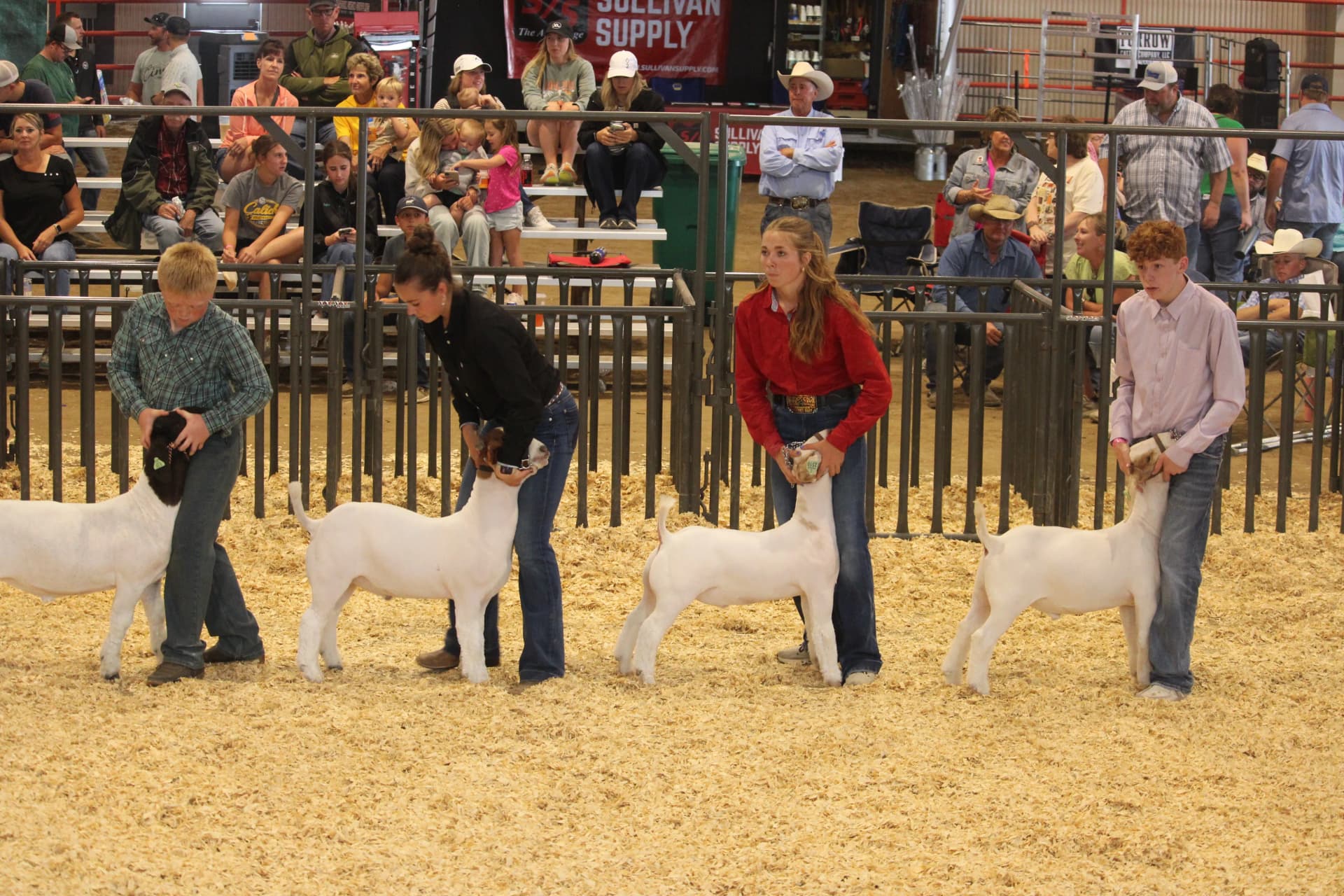 Logan County Fair opens as countywide tradition and gathering point