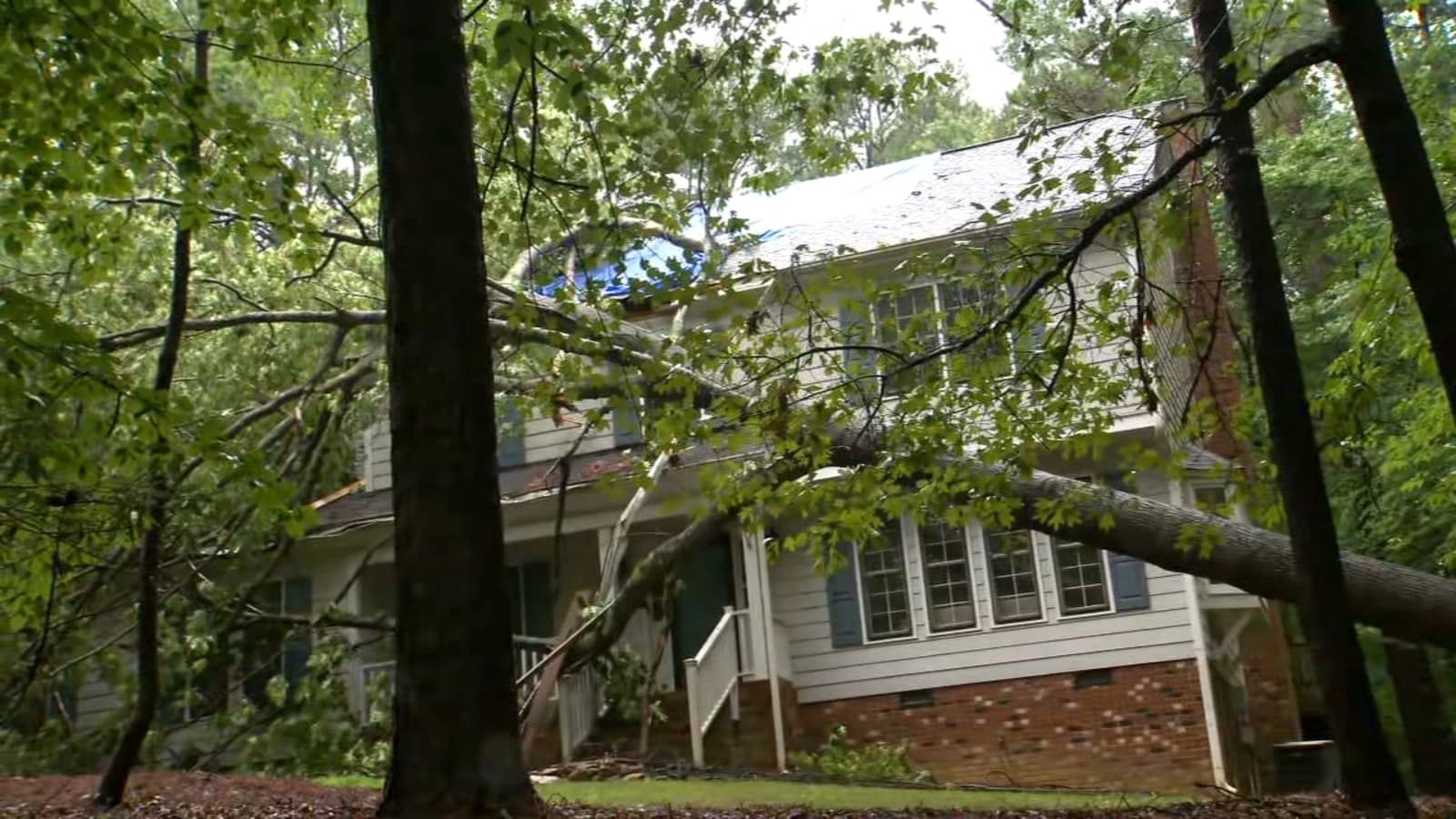 Heavy rain topples oak tree onto Wake County home