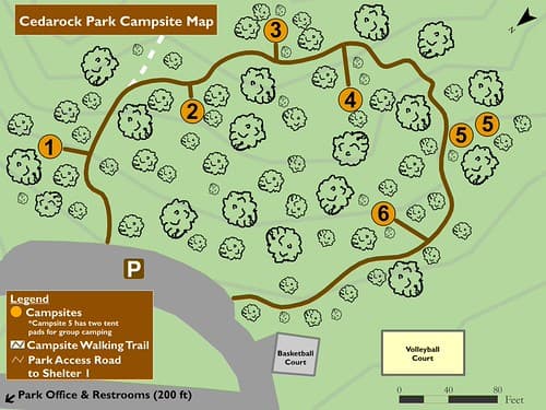 Cedarock Campsite 5 details check-in rules, seasonal hours for groups