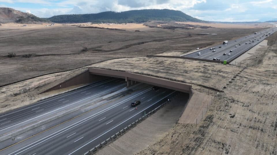 Douglas County expands I-25 wildlife crossings to reduce collisions