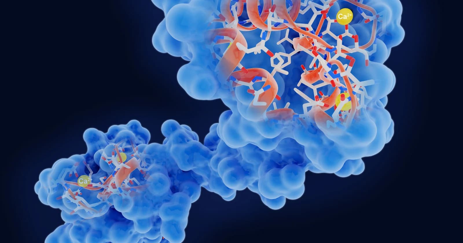 Engineered enzyme reverses age-related protein damage in human tissue samples