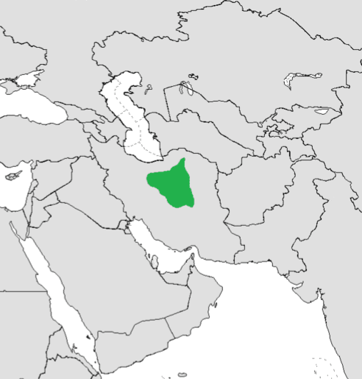 Asiatic cheetah — Wikimedia Commons