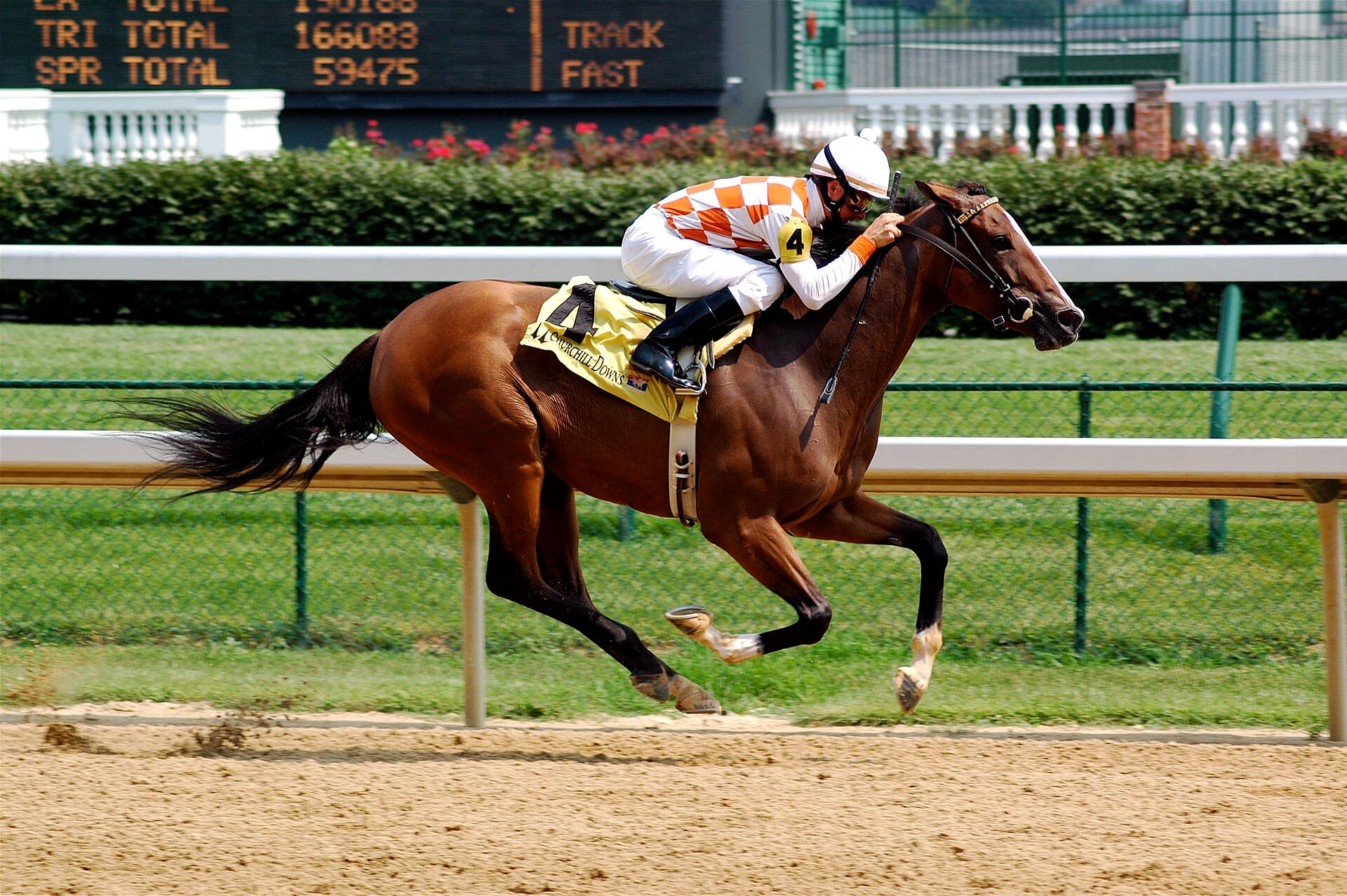 Churchill Downs — Wikimedia Commons