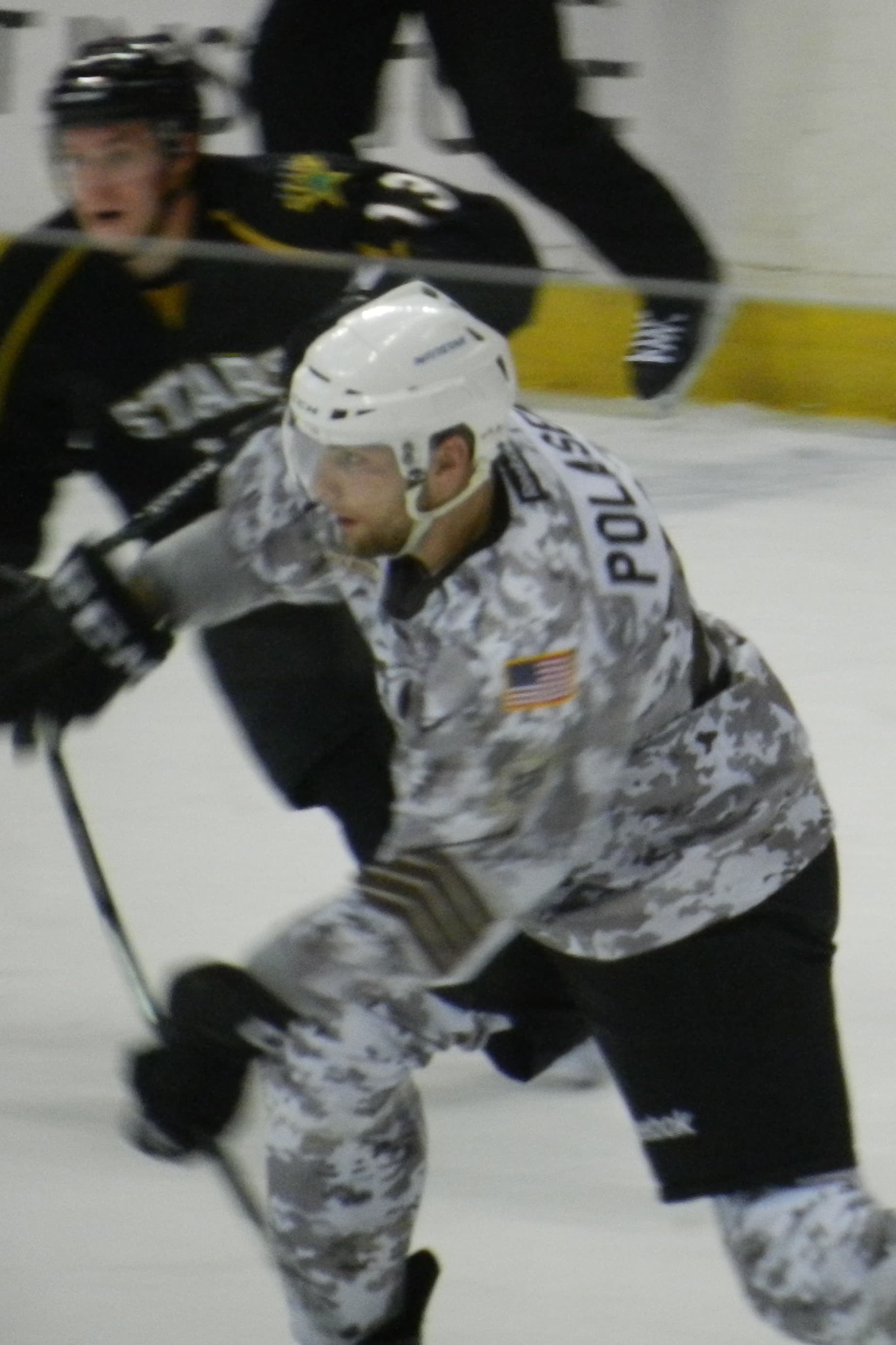 Chicago Wolves — Wikimedia Commons