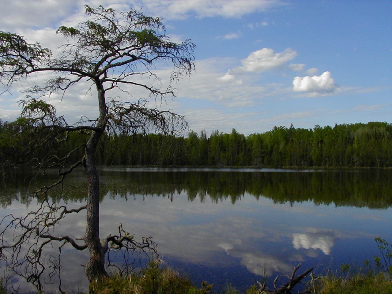 Lake Bemidji — Wikimedia Commons