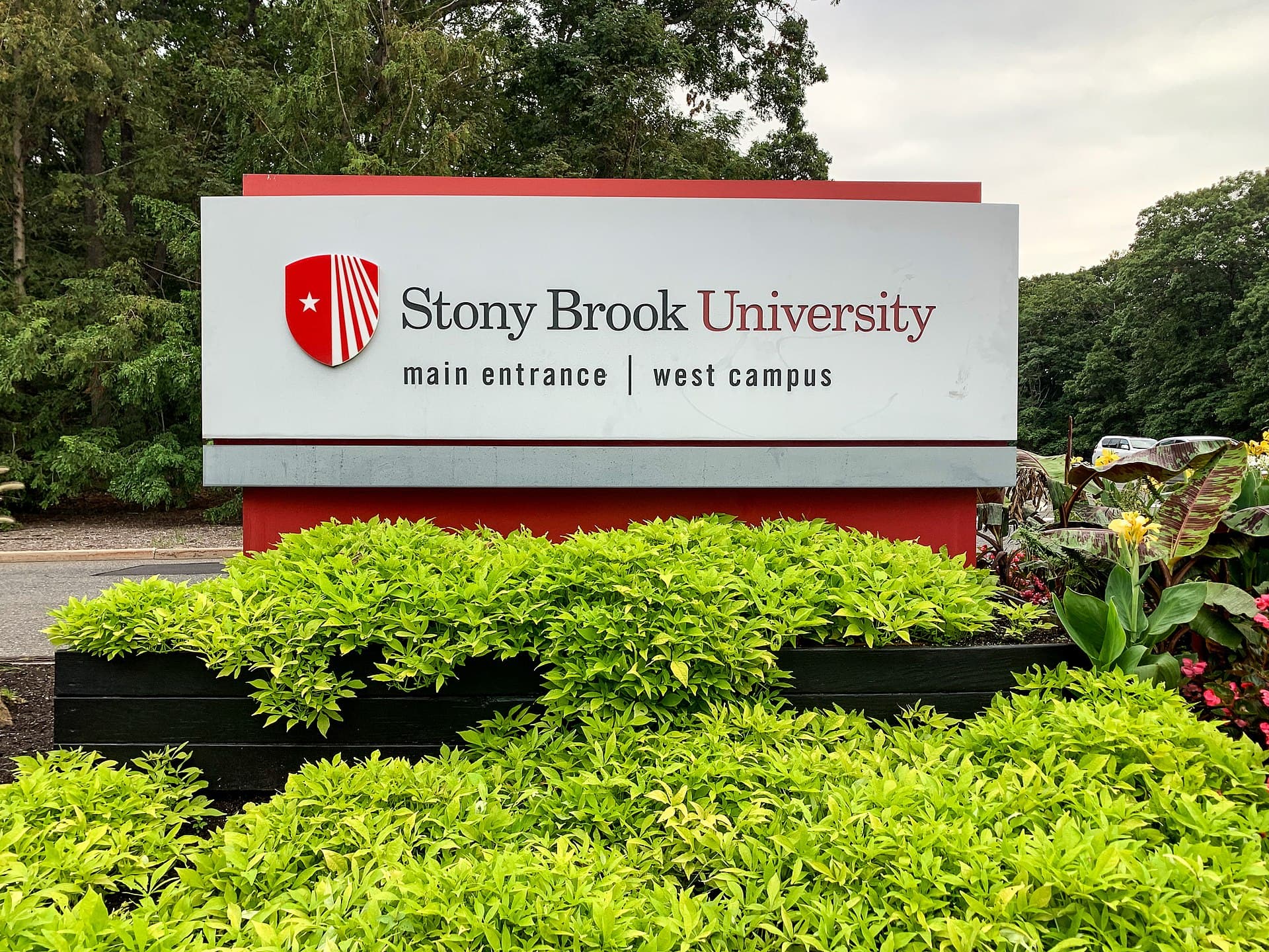 Stony Brook University — Wikimedia Commons