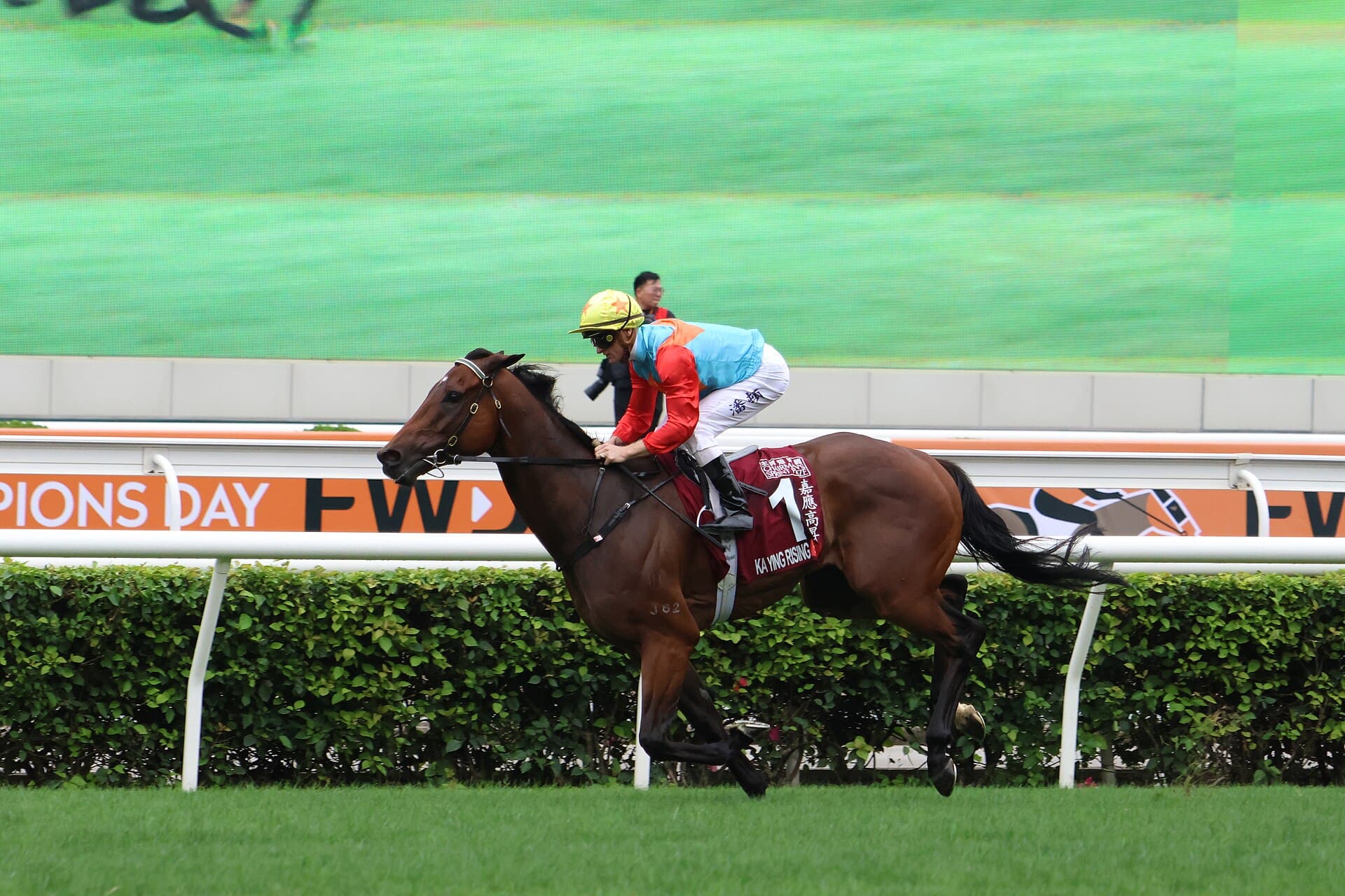 Shane Dye ranks Ka Ying Rising among racing's all-time greats