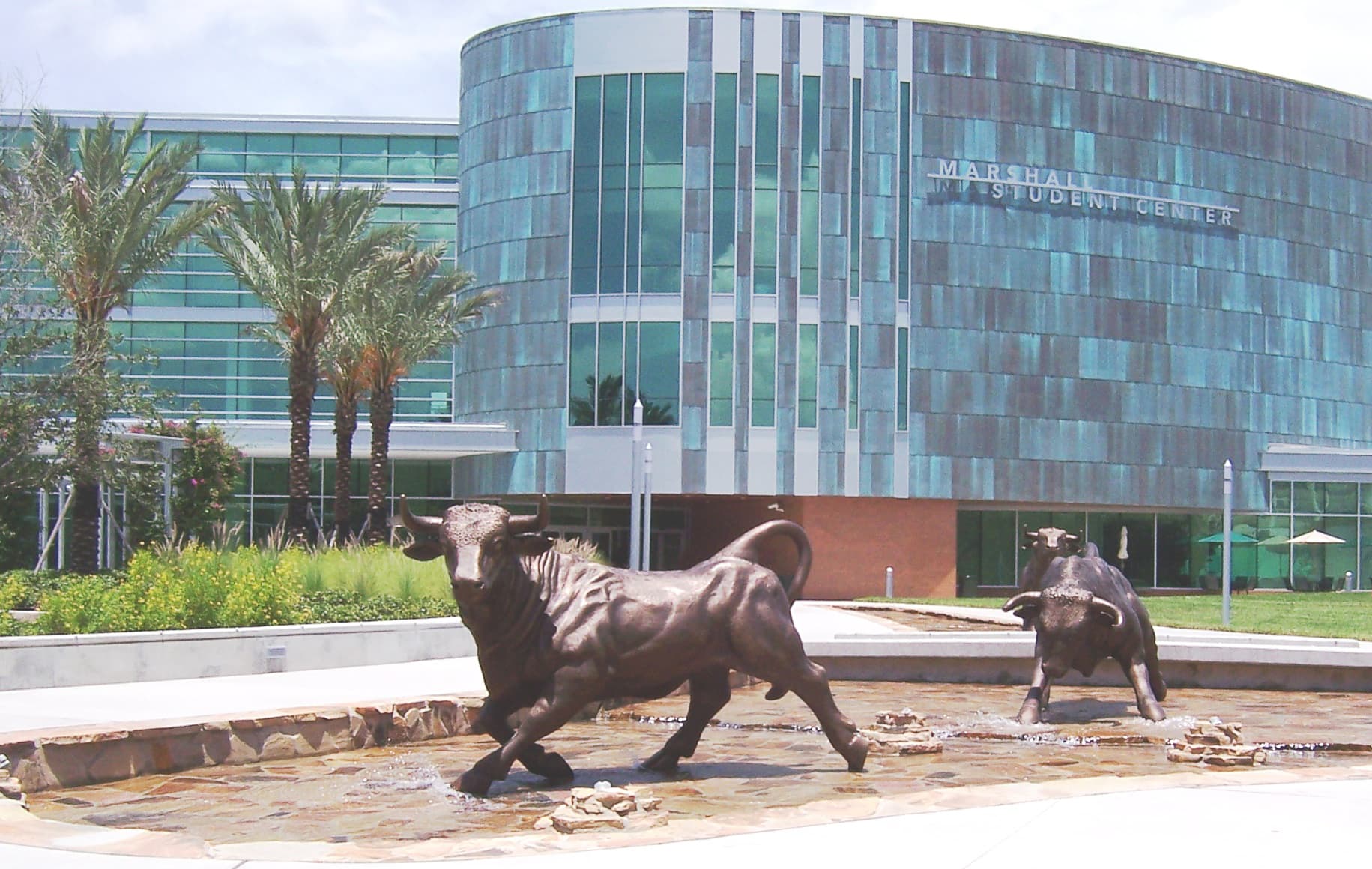 University of South Florida — Wikimedia Commons
