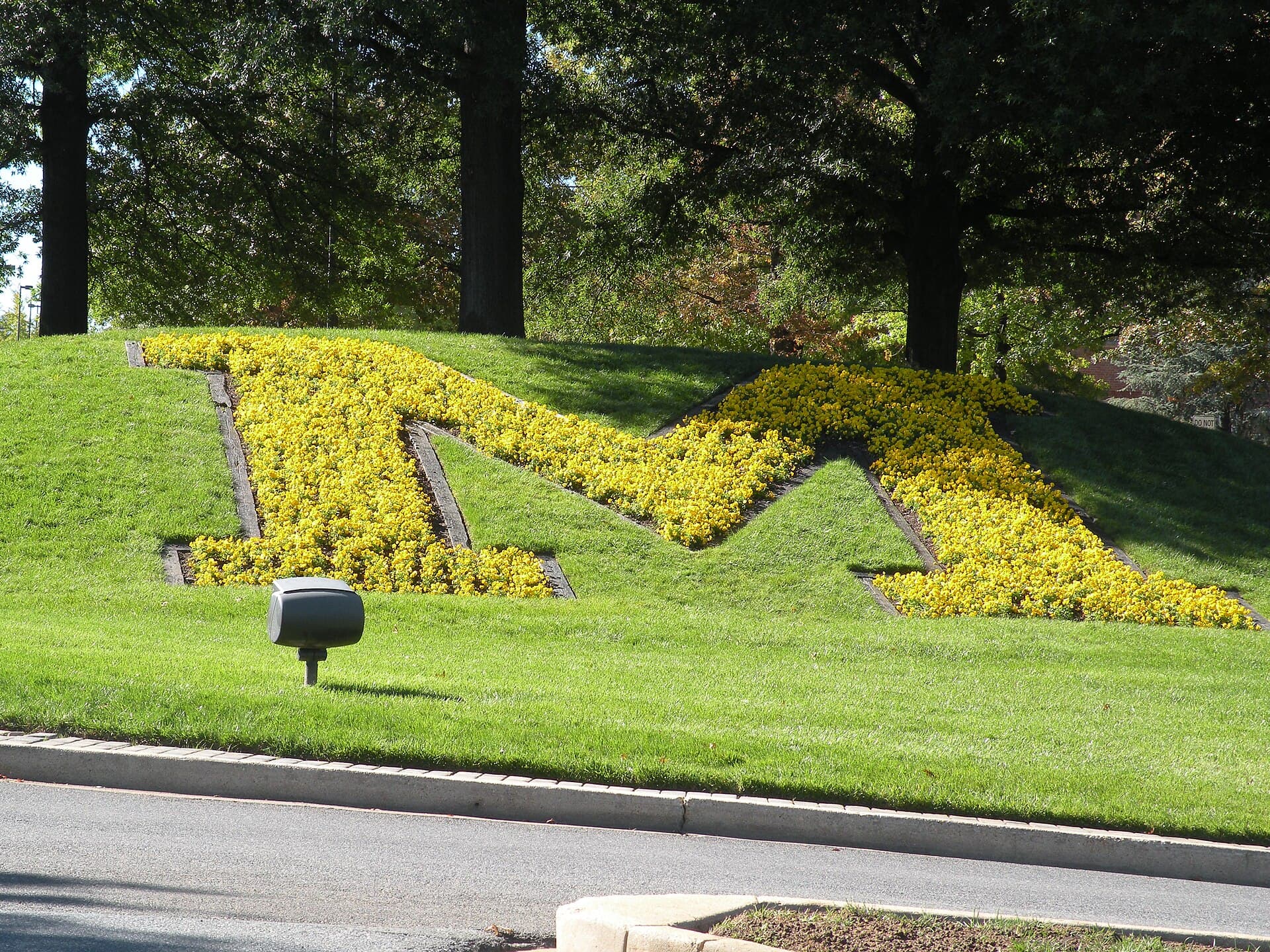 UMD College Park freezes hiring, may cut up to 150 jobs amid budget strain