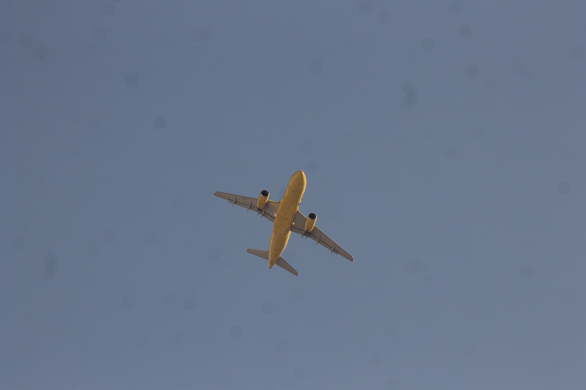 Spirit Airlines — Wikimedia Commons