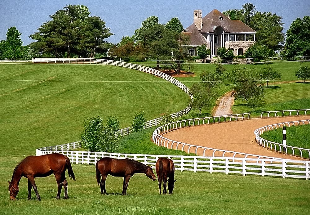 Donamire Farm — Wikimedia Commons