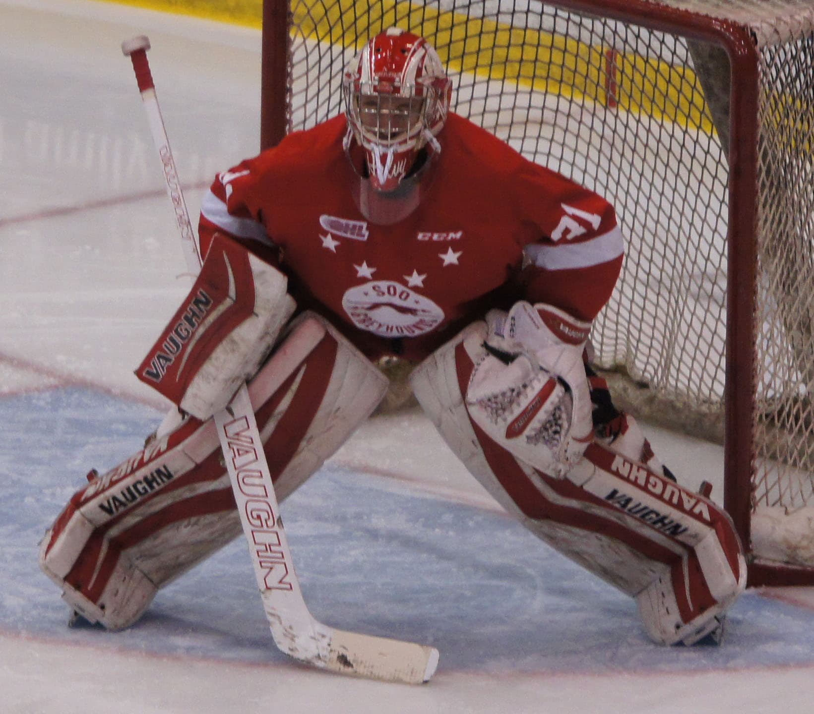 Brandon Halverson — Wikimedia Commons