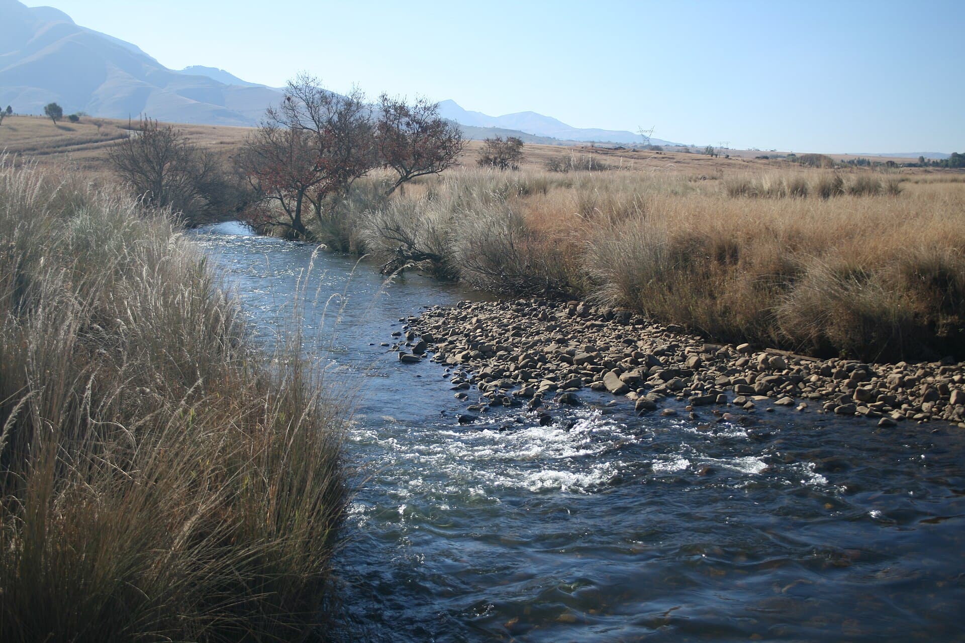 Komati River — Wikimedia Commons