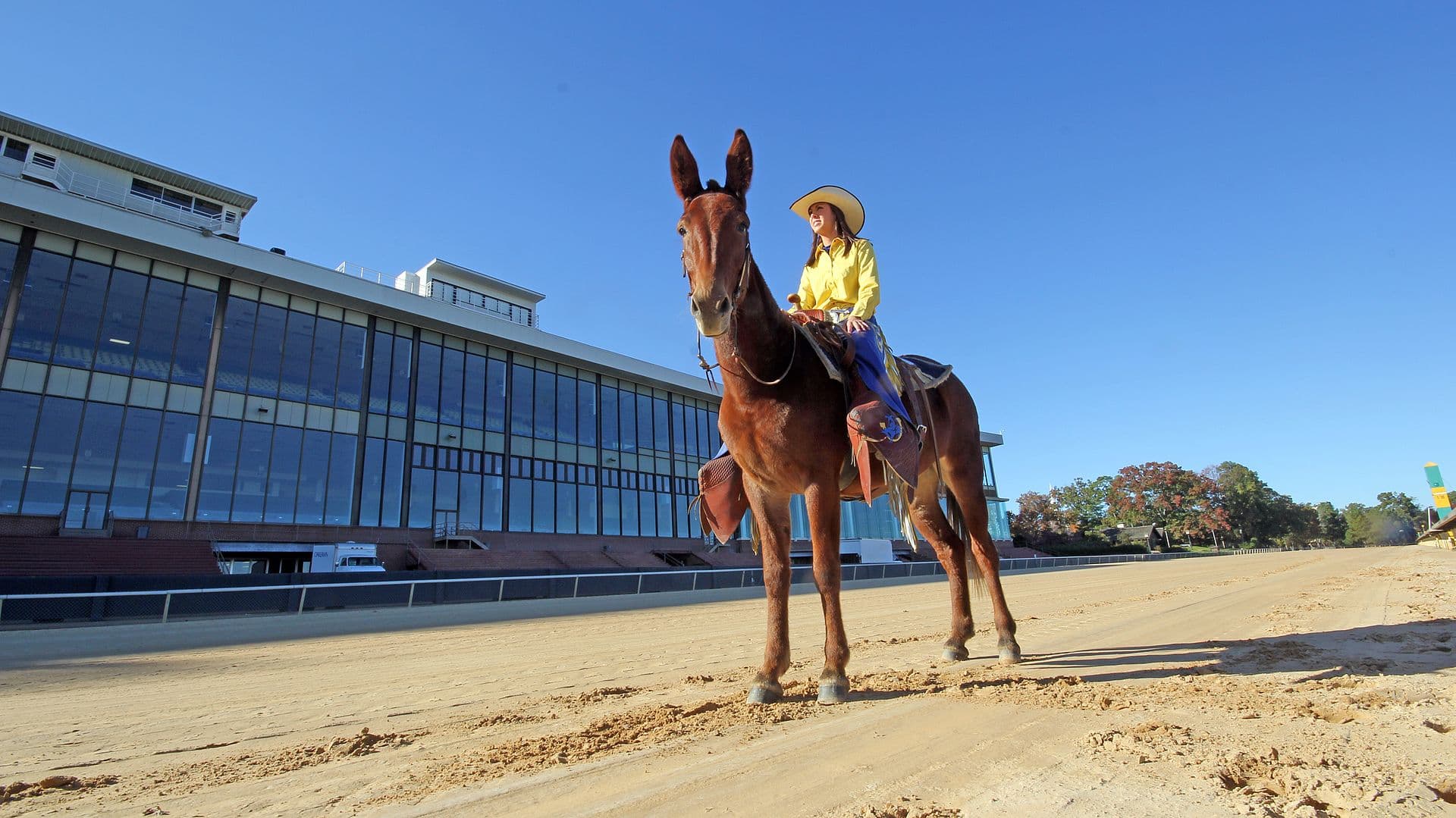 Oaklawn Park — Wikimedia Commons