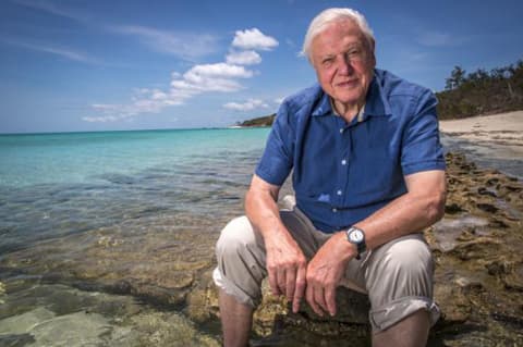 David Attenborough — Wikimedia Commons