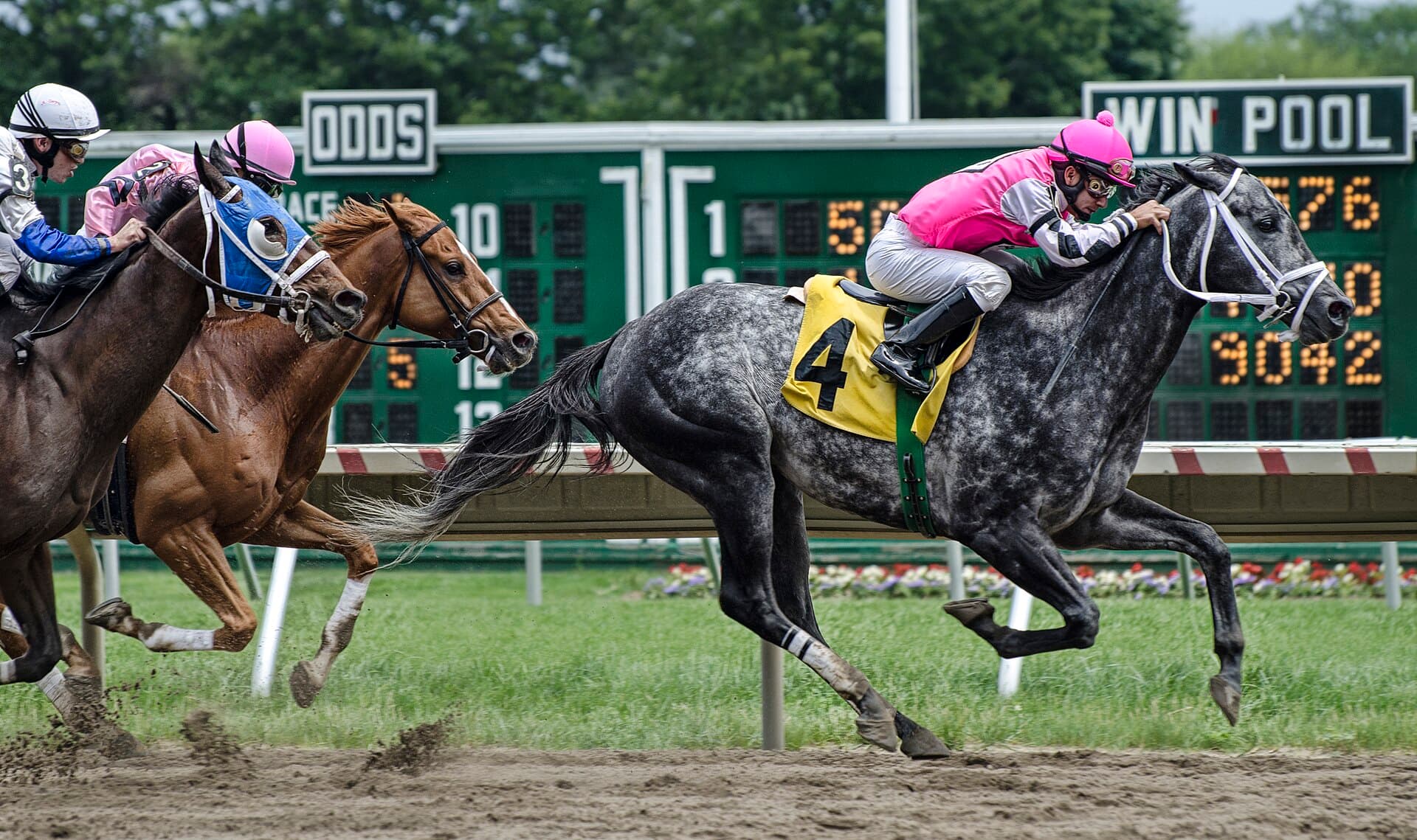Monmouth Park — Wikimedia Commons
