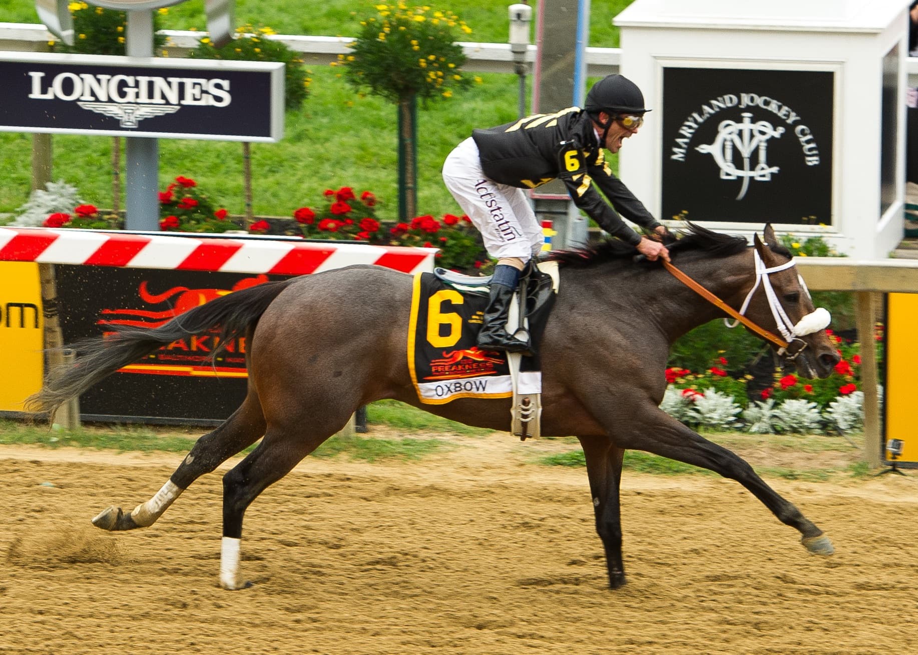 Preakness Stakes — Wikimedia Commons