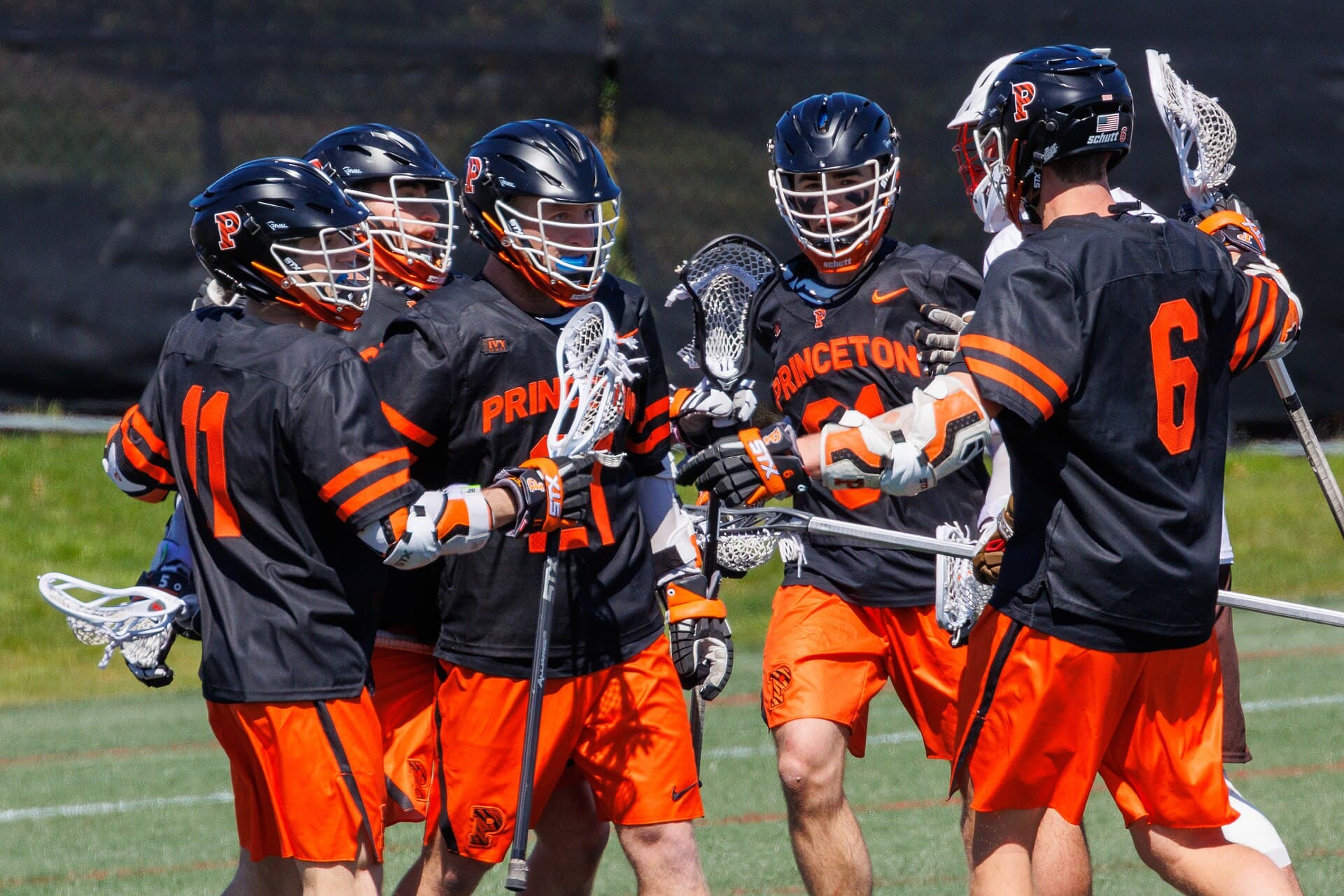 Princeton Tigers — Wikimedia Commons