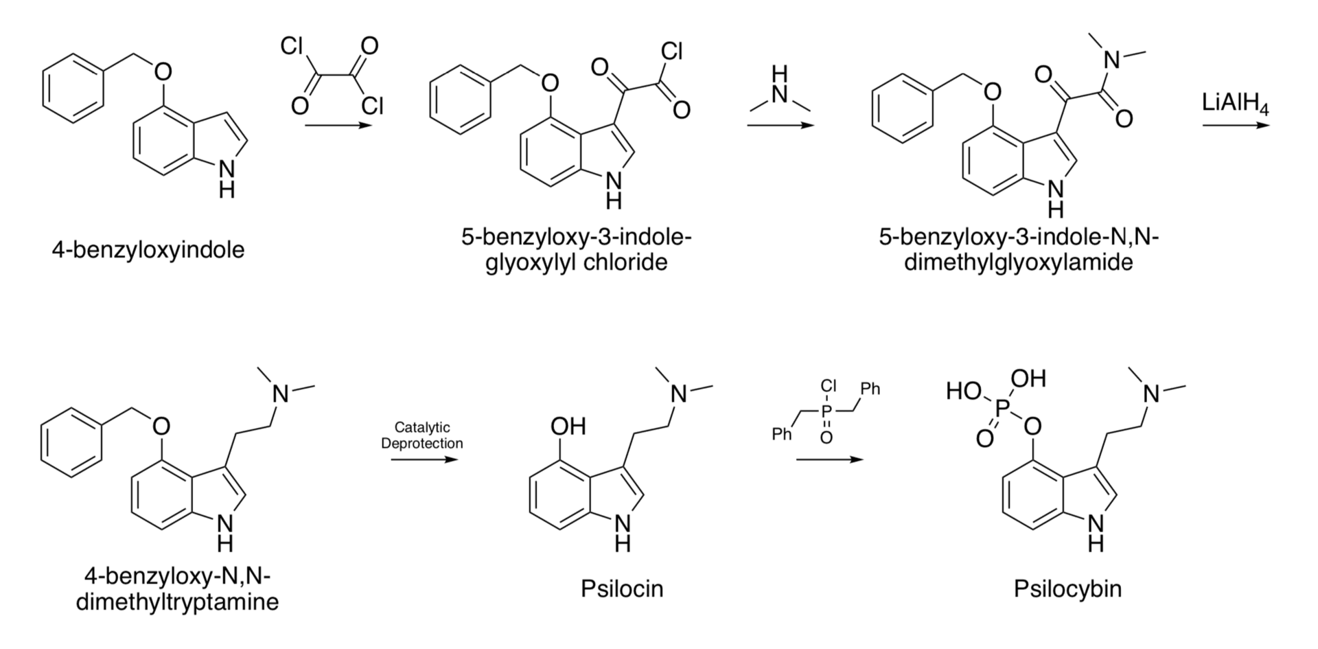 psilocybin — Wikimedia Commons