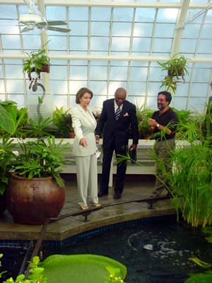 Nancy Pelosi — Wikimedia Commons