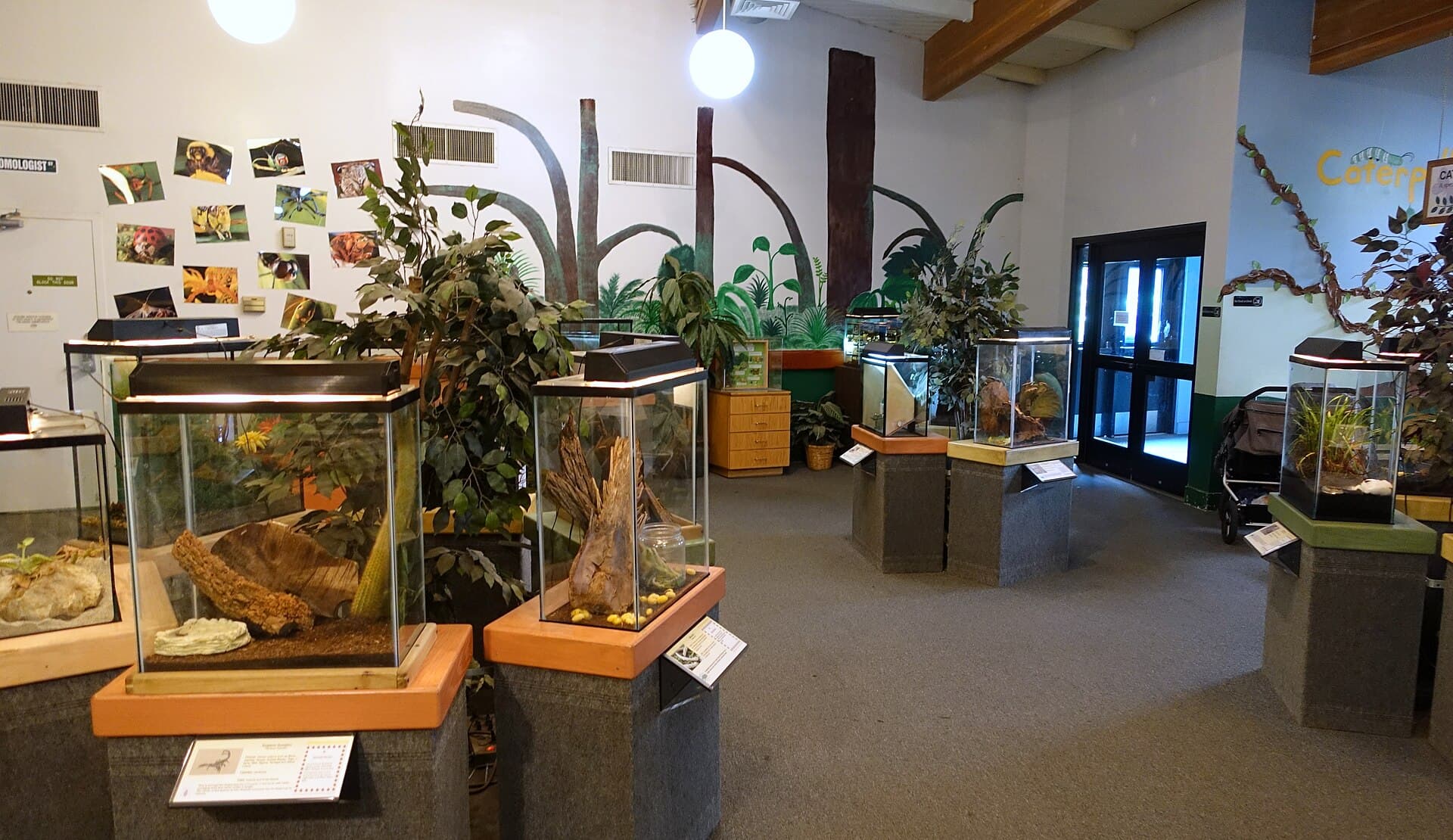 San Francisco Zoo — Wikimedia Commons
