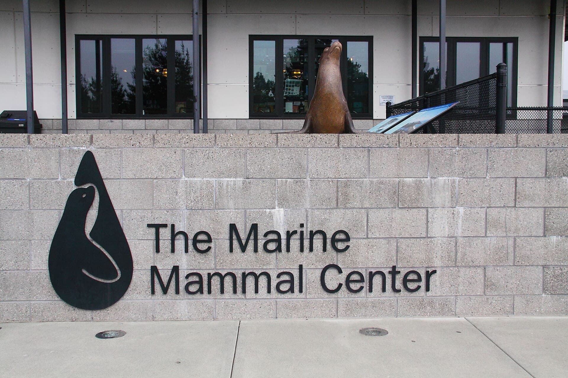 Marine Mammal Center — Wikimedia Commons