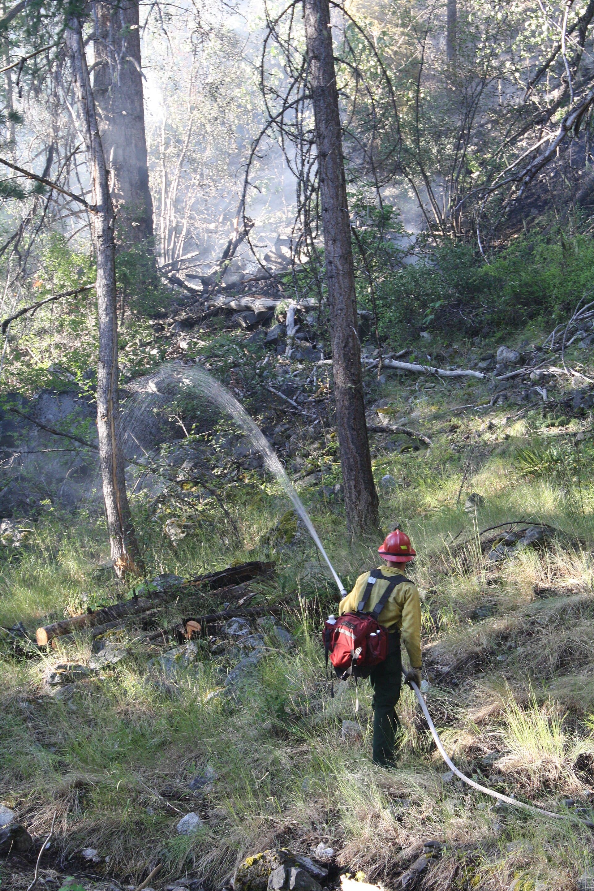 U.S. Wildland Fire Service — Wikimedia Commons
