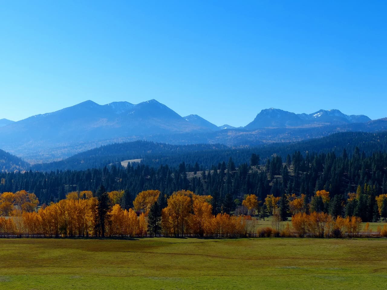 Wallowa-Whitman National Forest — Wikimedia Commons