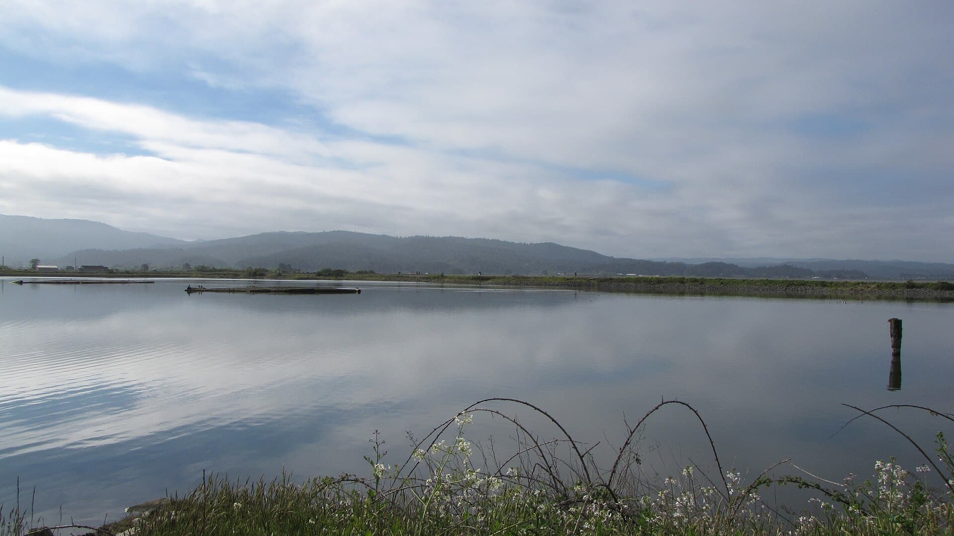 Arcata Marsh and Wildlife Sanctuary — Wikimedia Commons