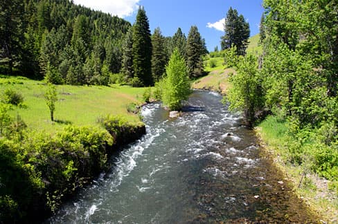 Lookingglass Creek — Wikimedia Commons