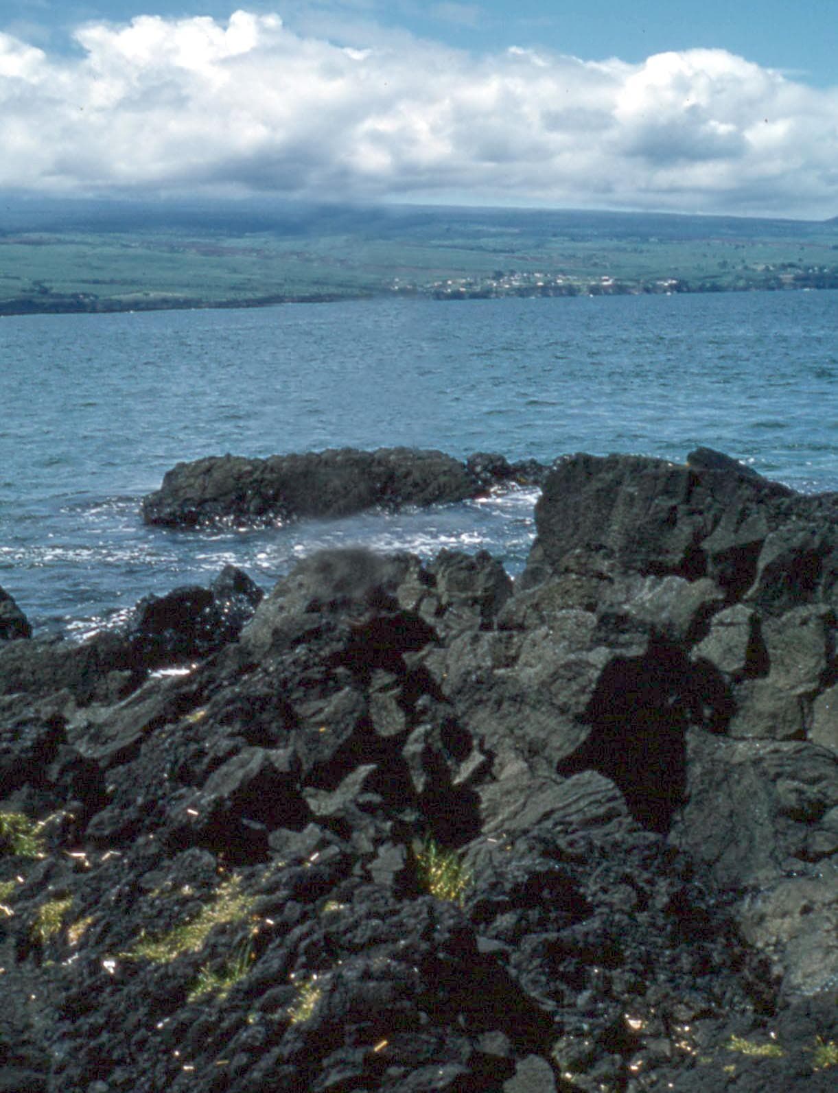 Hawaii Island — Wikimedia Commons
