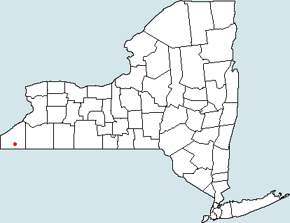 Jamestown — Wikimedia Commons