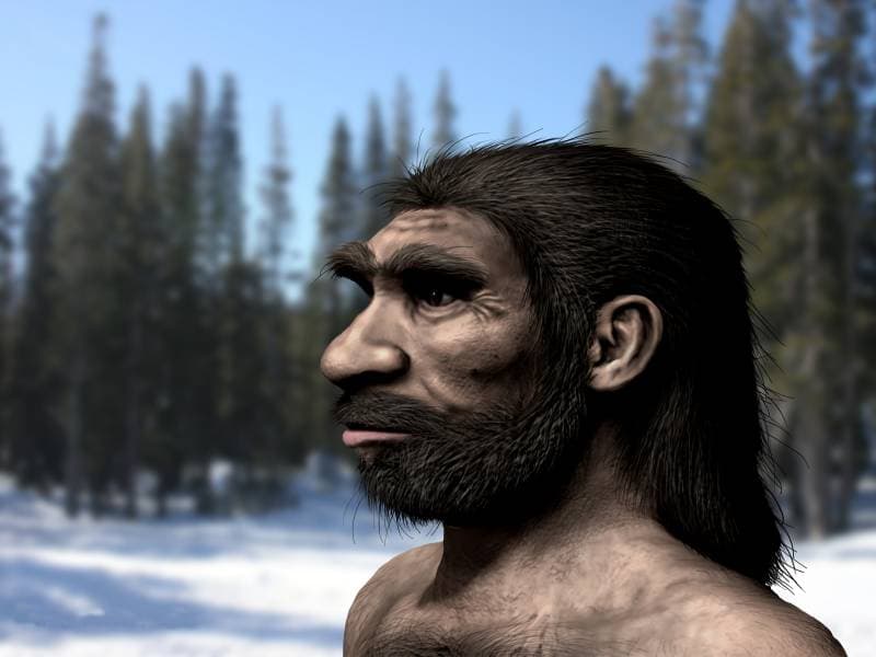 Denisovans — Wikimedia Commons